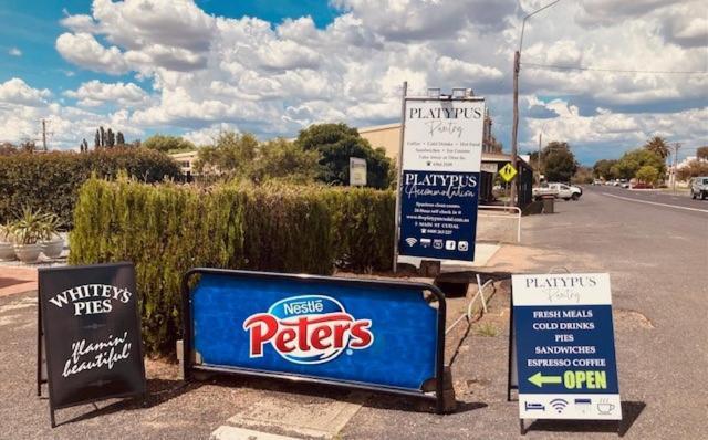 The Platypus Accommodation & Cafe Cudal Extérieur photo